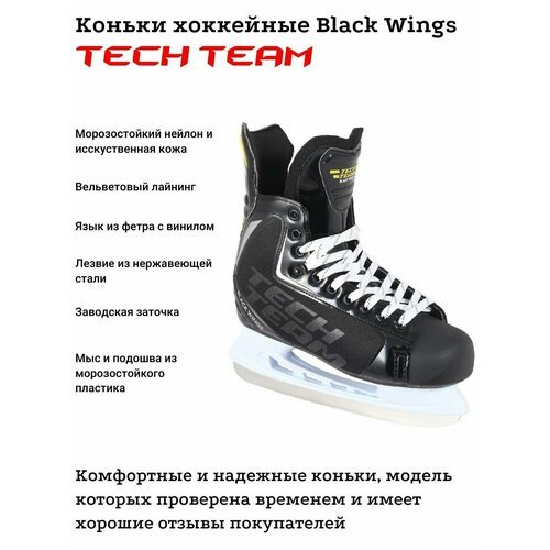 Хоккейные коньки Black Wings