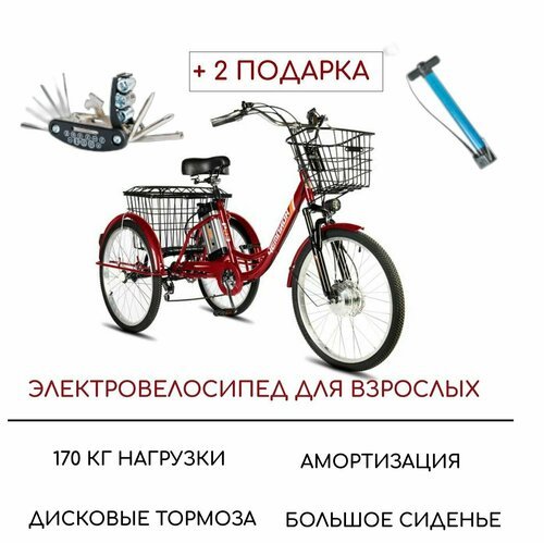 Электровелосипед трехколесные для взрослых РВЗ 'Чемпион', 24', красный