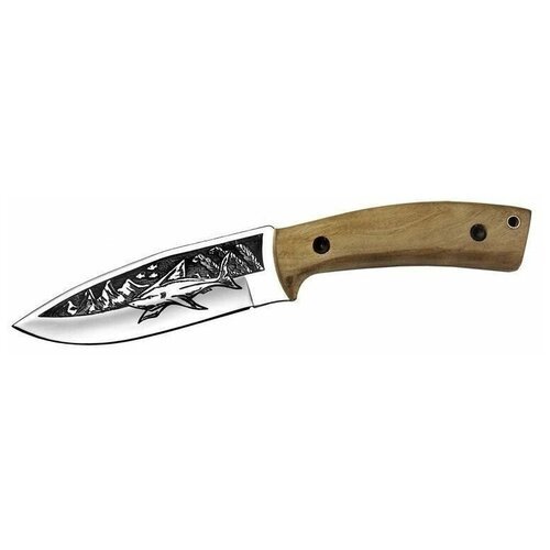 Охотничий нож Акула-2, сталь AUS8, рукоять орех