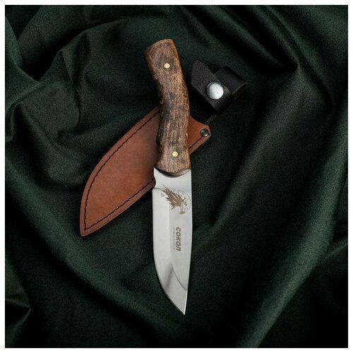 Нож Сокол, нержавеюща сталь 65х13
