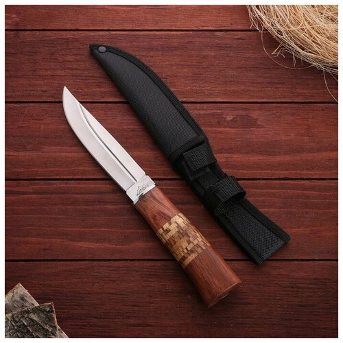Нож охотничий 'Барди' в чехле, лезвие 14 см, деревянная рукоять с пробковой вставкой 1297733