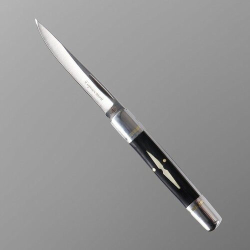 Нож складной 'Горностай' сталь - 420, рукоять - сталь/дерево, клинок - 8 см
