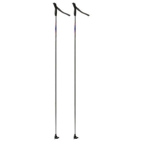 Лыжные палки Gekars Vega, длина 110 см