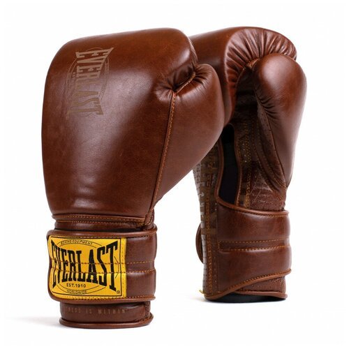 Перчатки тренировочные Everlast 1910 Classic Brown 16oz