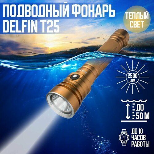 Фонарь подводный DELFiN T25, 2500 Лм