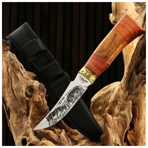 Нож охотничий 'Схватка' в чехле 23 см лезвие с узором рукоять деревянная