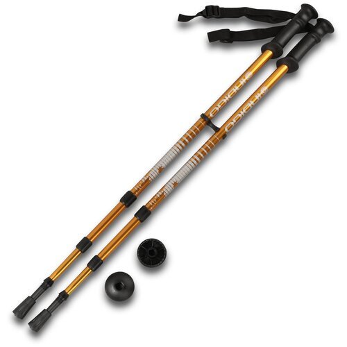 Палки для скандинавской ходьбы телескопические INDIGO 3 секции пластиковые ручки SL-1-3 Золотистый 65-135 см