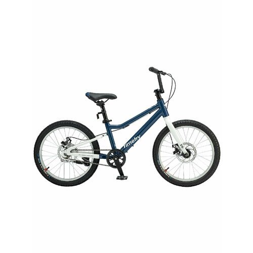 Велосипед детский горный 20 Timetry TT231, Синий, Рама 12