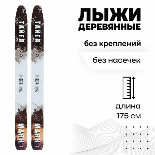 Лыжи деревянные «Тайга», 175 см
