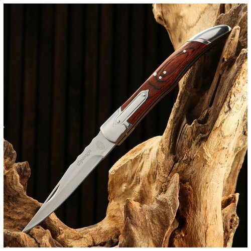 Нож складной 'Француз' сталь - 40х13, рукоять - дерево, 23 см