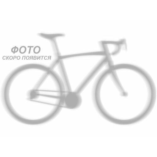 Горный велосипед Format 1432 27.5, год 2023, цвет Серебристый-Черный, ростовка 19