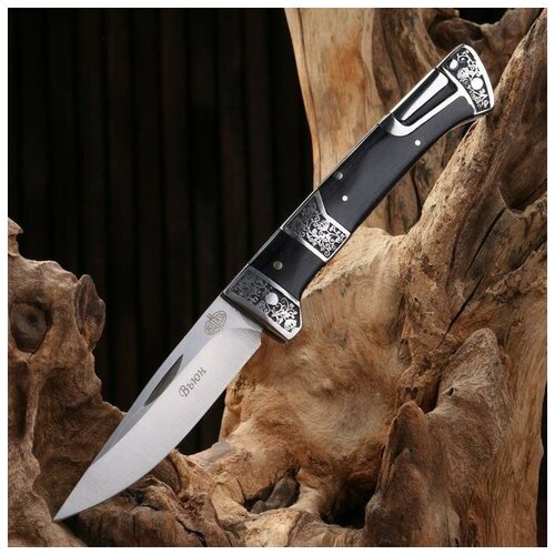 Нож складной 'Вьюн' сталь - 420, рукоять - дерево, 20 см
