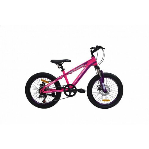 Велосипед HEAM FIRST 207 Розово/Фиолетовый/Белый