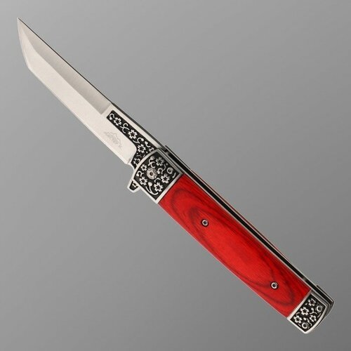 Нож складной 'Танто' 22,5см, клинок 100мм/1,4мм, рукоять дерево