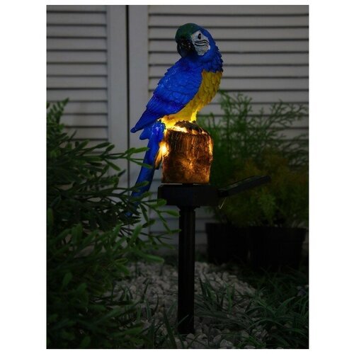 Фонарь садовый на солнечной батарее 'Попугай Сине-желтый Ара' 43 см, 5 Вт, 1 LED, Т/белый