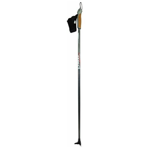 Лыжные палки Gekars Expert Plus, 155 см, черный/серебристый