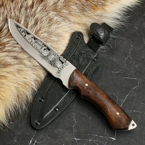 Нож кавказский, туристический 'Беркут' с ножнами, сталь - 40х13, рукоять - орех, 14.5 см