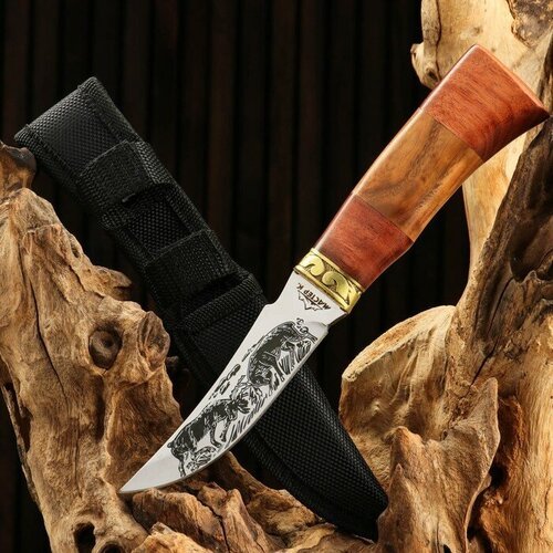 Нож охотничий 'Схватка', 22см, клинок 112мм/2,8мм, дерево, с гравировкой
