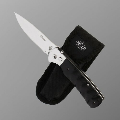 Нож складной 'Тагил' сталь - 420, рукоять - пластик, 22 см