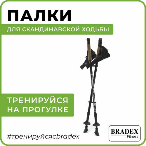 Палка для скандинавской ходьбы BRADEX телескопические Нордик Cтайл III, 3 шт., черный