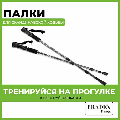 BRADEX телескопические Нордик Стайл, 3 шт., черный