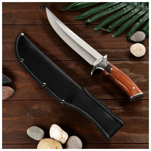 Витязь Нож охотничий 'Сармат' сталь - 50х14, рукоять - дерево, 31 см