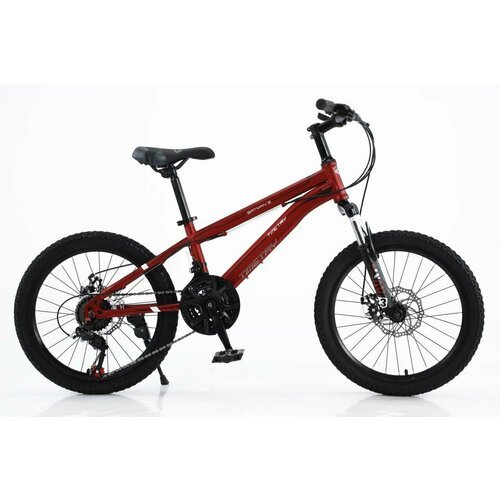 Велосипед TIME TRY TT021, 20', 21 скорость, Стальная рама , Горный Детский Подростковый Для активного отдыха Унисекс, красный