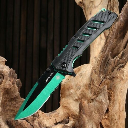 Нож складной 'Хамелеон' сталь - 420, рукоять - пластик, зеленый, 21 см