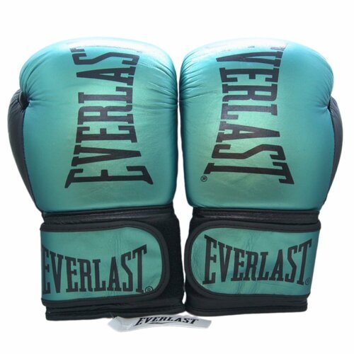 Перчатки боксерские Everlast, B-Met, натуральная кожа, Пакистан, 10 Oz