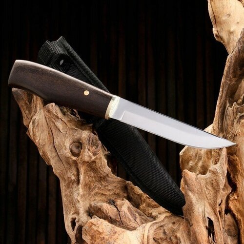 Нож охотничий 'Йохан' 24,5см, клинок 125мм/2,8мм, дерево