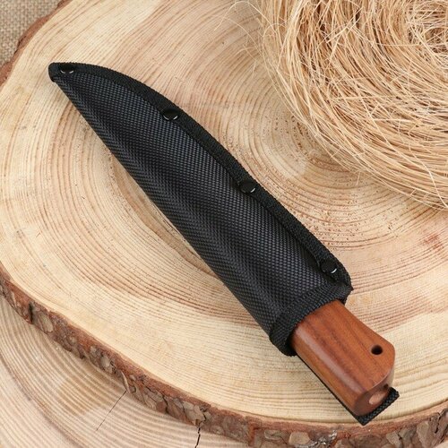 Нож охотничий 'Бургут' 21,5см, клинок 98мм/2,5мм, деревянная рукоять