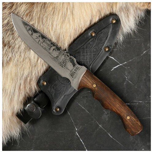Нож кавказский, туристический 'Викинг' с ножнами, сталь - 40х13, вощеный орех, 14.5 см