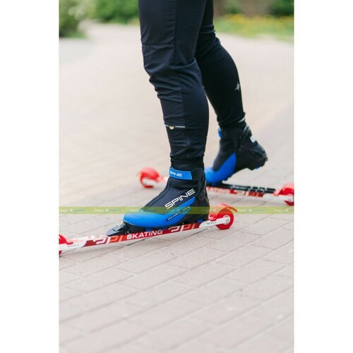 Ботинки лыжные NNN Spine Concept Combi 268 синий/черный (47 Eur)