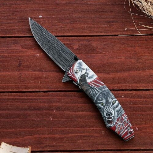 Нож складной 'Вожак' сталь - 95х18, рукоять - венге, 23 см
