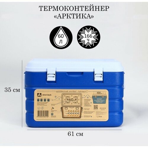 Термоконтейнер 'Арктика', 60 л, 61 х 42 х 35 см, 2 ёмкости для льда, синий