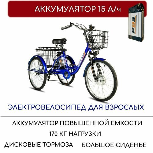 Электровелосипед трехколесный для взрослых РВЗ 'Чемпион', 250 15, синий