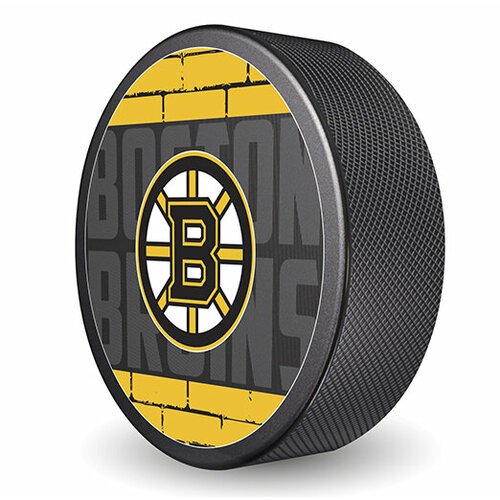 Шайба Rubena NHL 2023 Boston Bruins