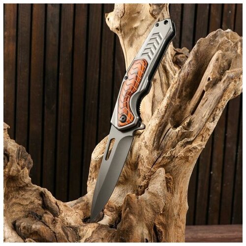 Нож складной 'Хищник' полуавтоматический, накладка из дерева, 22см, клинок 9,3см 5177905