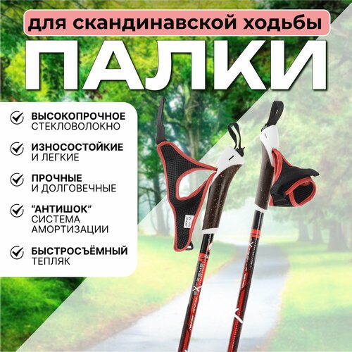 Палки для ходьбы STC EXTREME RED (110 см)