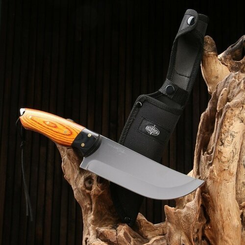 Нож охотничий 'Телец' сталь - 40х13, рукоять - дерево, 29 см