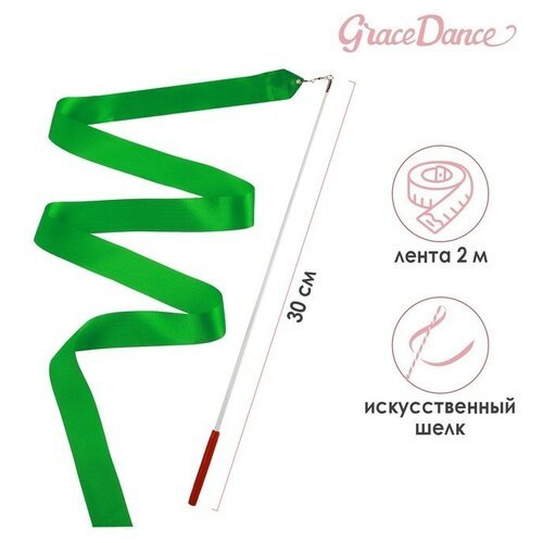 Grace Dance Лента для художественной гимнастики с палочкой Grace Dance, 2 м, цвет зелёный