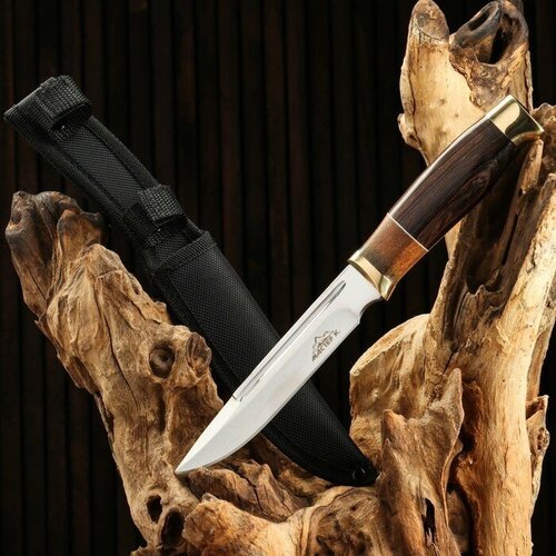 Нож охотничий 'Рагнар', рукоять дерево, с золотым кольцом, лезвие 15 см