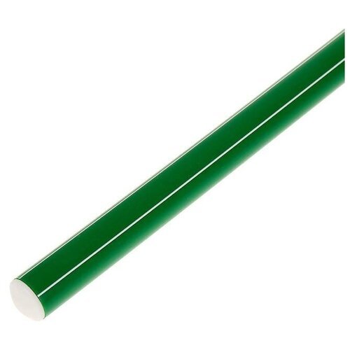 Палка гимнастическая 80 см, цвет зелёный(2 шт.)